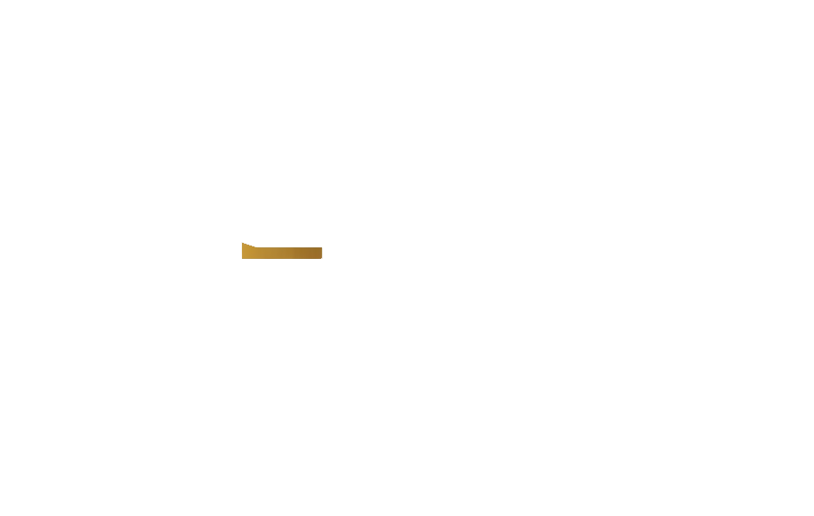 Hedra srl